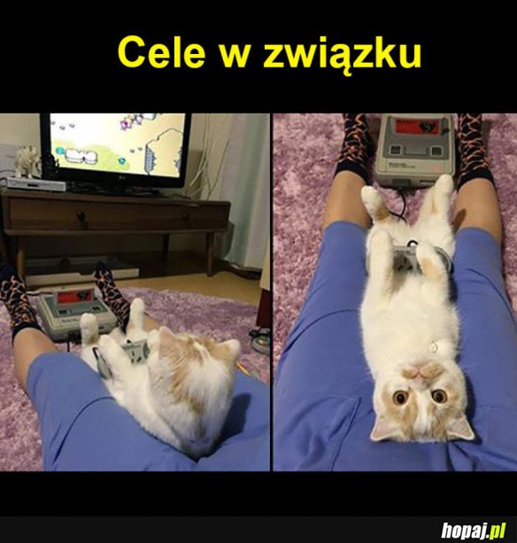 Cele w związku