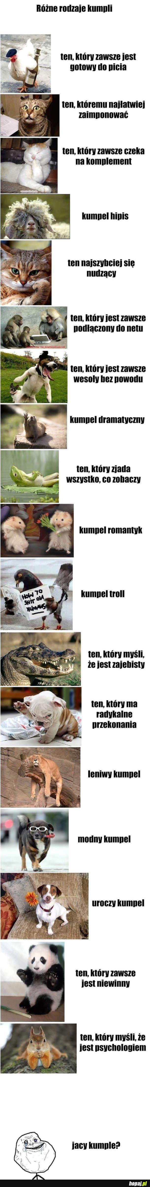 RÓŻNE RODZAJE KUMPLI