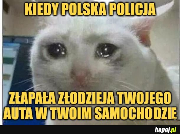 Lubiłem ten samochód