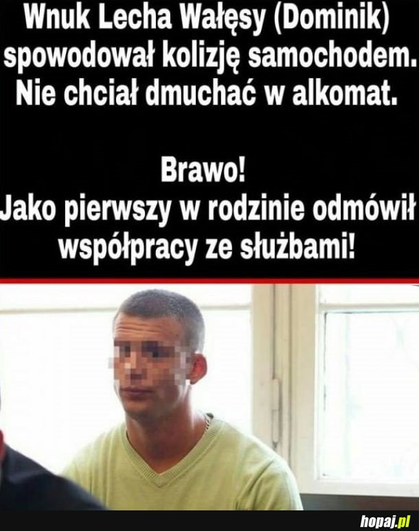 Brawa dla Dominika