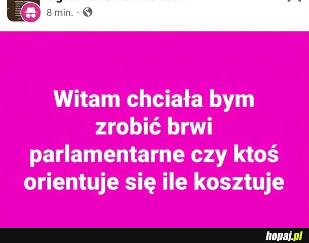 Brwi parlamentarne