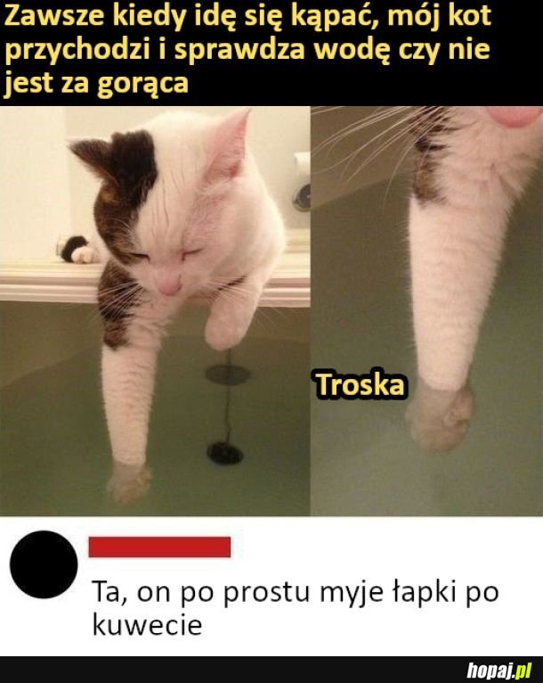 Chłop po prostu myje łapki