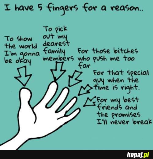 5 palców