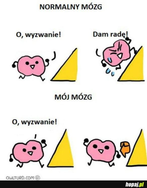 Wyzwanie