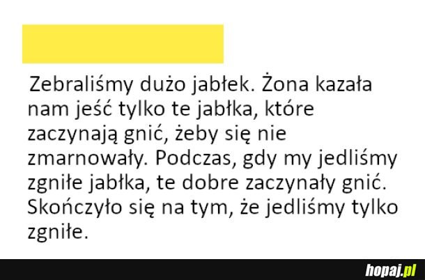 Błędne koło
