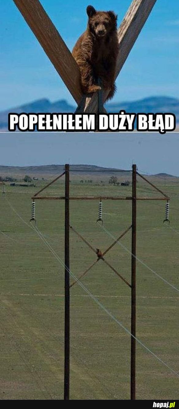 Błąd.