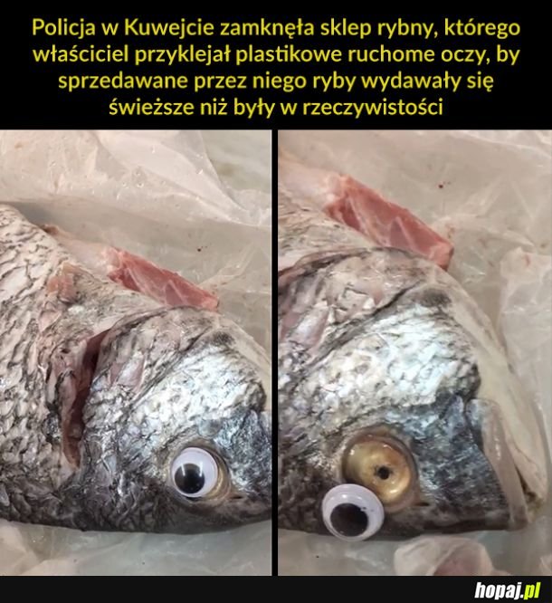 Tymczasem w Kuwejcie