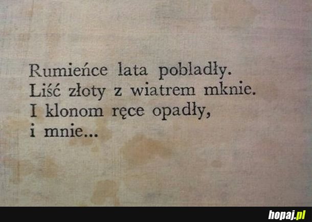 Jesień jest w pytę