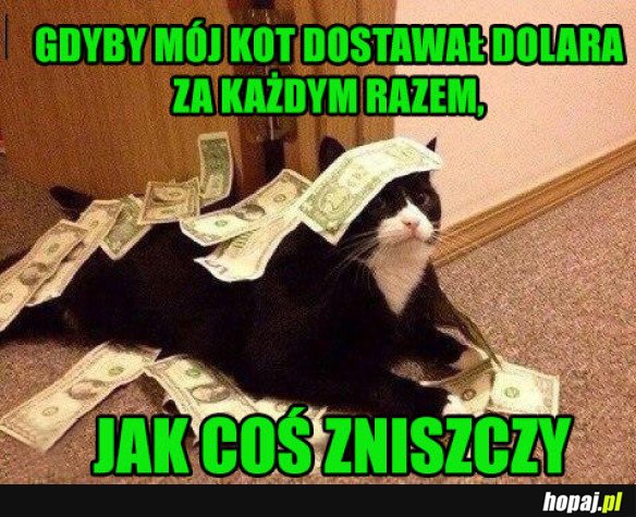 BOGATY KOTEŁ