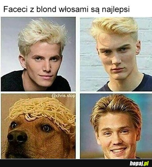 BLONDYNI SĄ SEKSOWNI