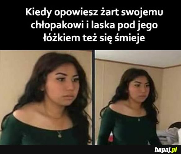 Wydało się