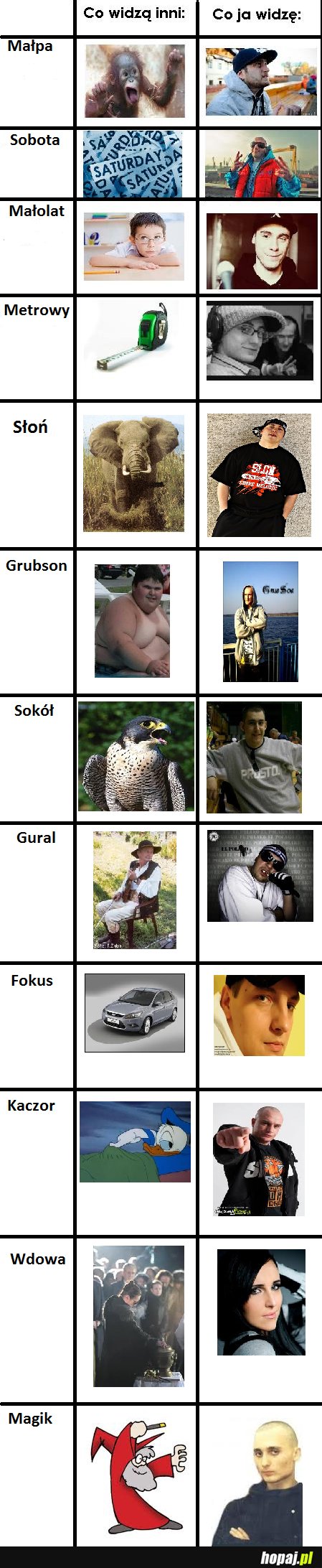 Co widzą inni