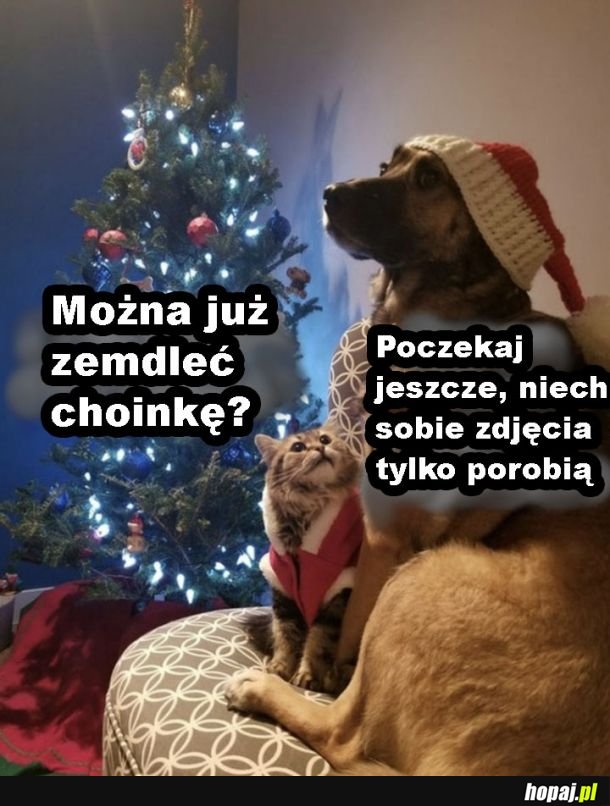 Łaskawi