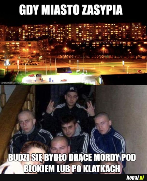 Patusy