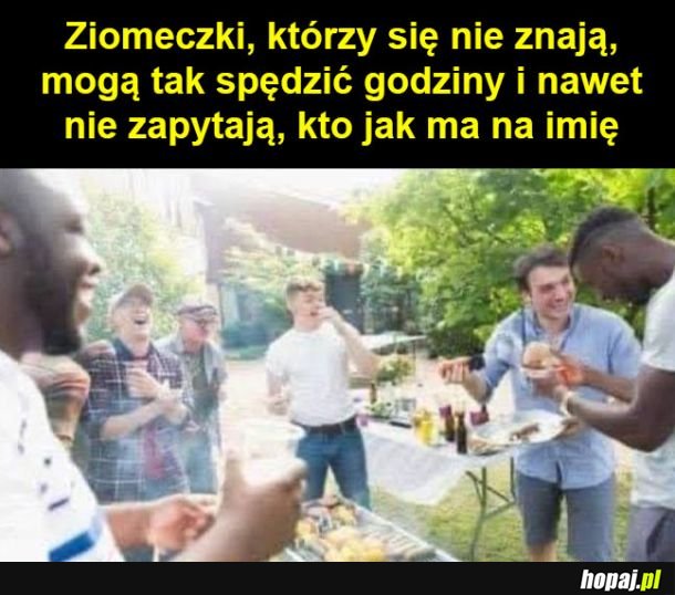 Fajne ziomeczki