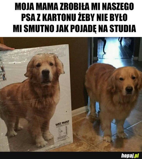 MOJA MAMA JEST KOCHANA