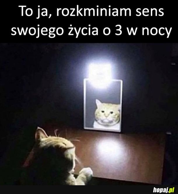 Tak mam