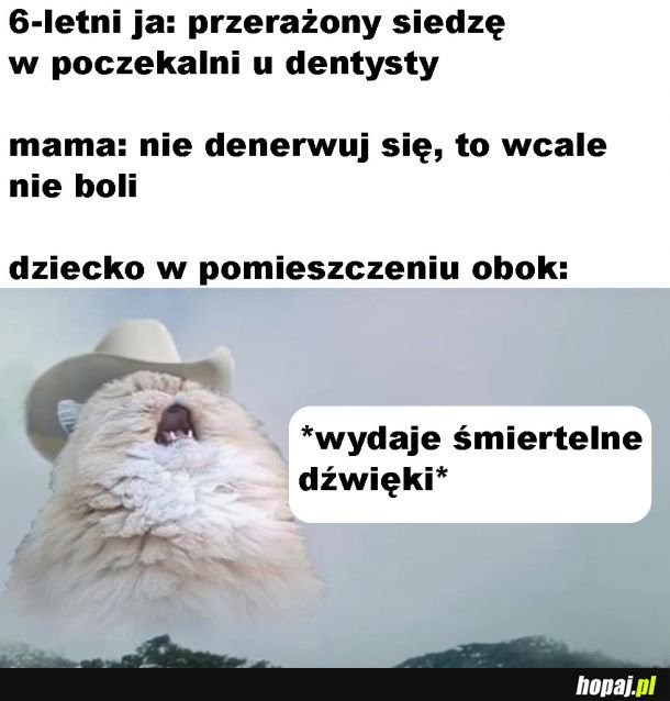 Dentysta