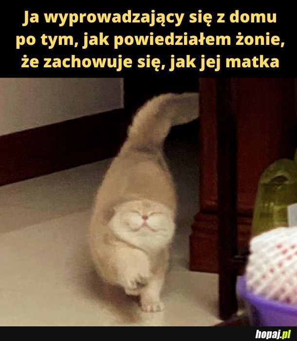 Warto było. 