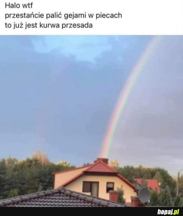 Przesada