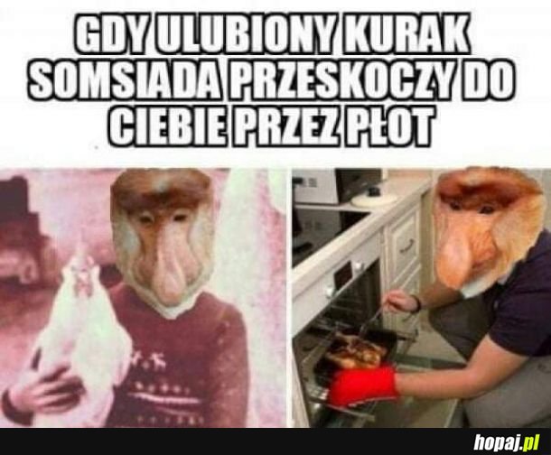 Kurczok sompsiada