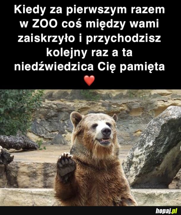 Miłość w czasach zarazy