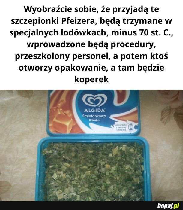 Wizja przyszłości