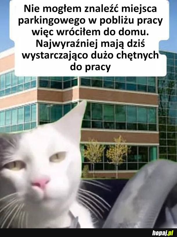 Nie było miejsc parkingowego