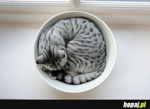 Sleep...