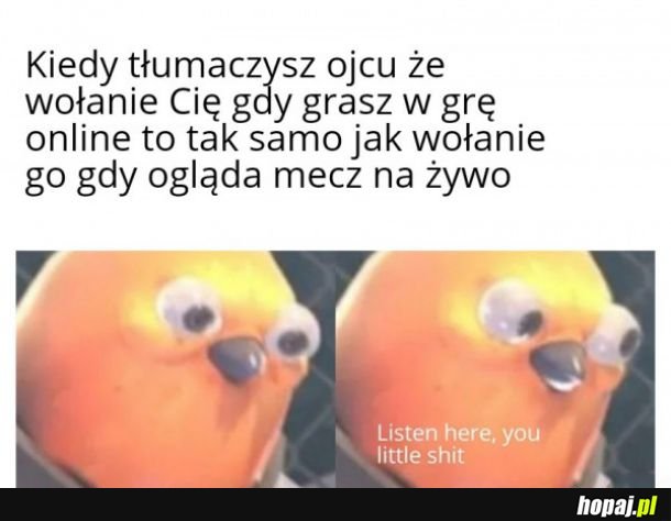Wołanie