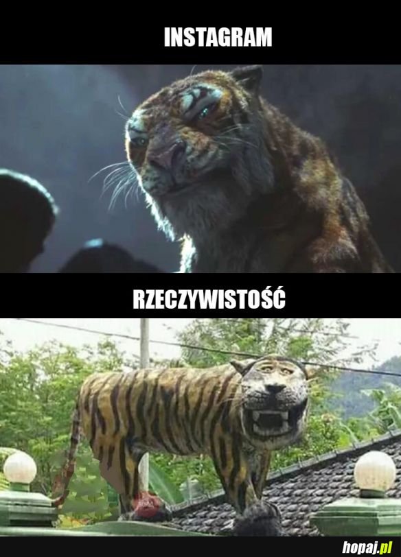 Instagram vs. rzeczywistość