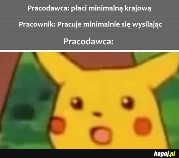 Pracodawca