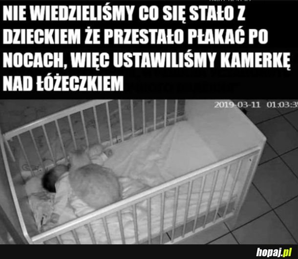 Koteł niańka