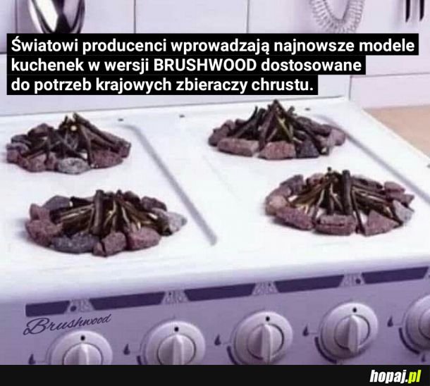 Brushwood Cooker