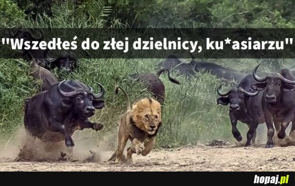 Losy się odwróciły
