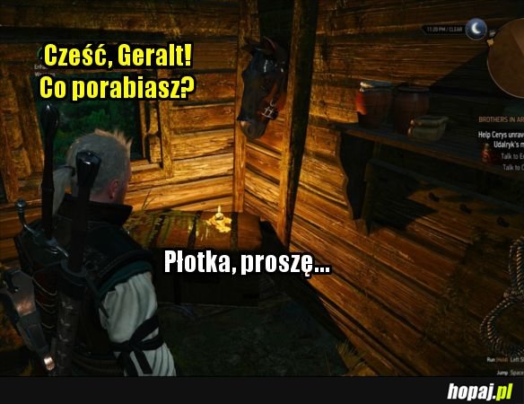 Płotka