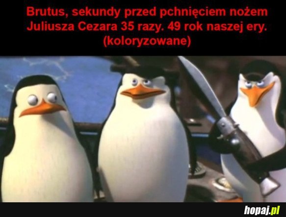 HISTORYCZNE ZDJĘCIE