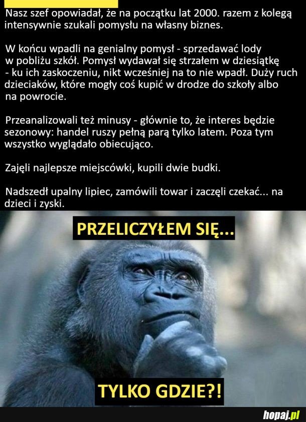 Biznes idealny