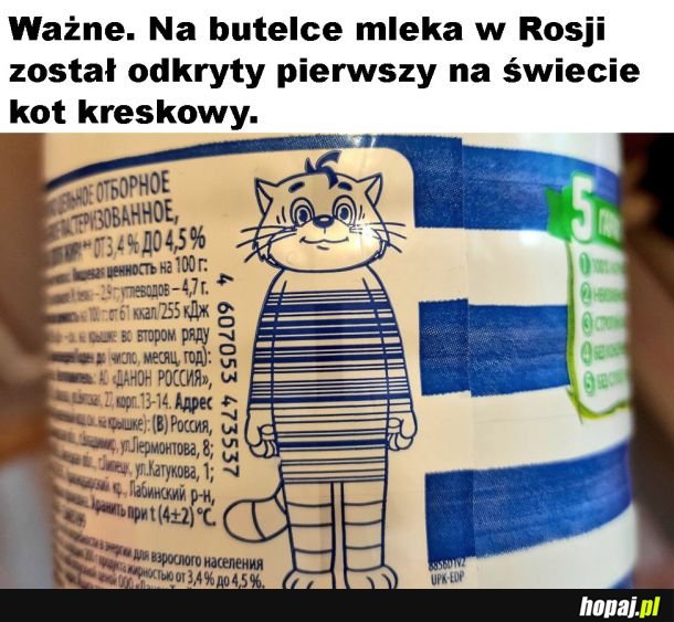 Kot kreskowy