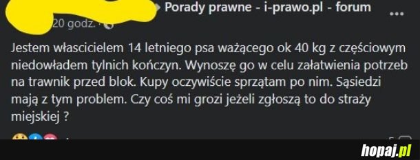 Sąsiad sąsiadowi sąsiadem! A dla Pani brawa za to, że opiekuje się pieskiem!