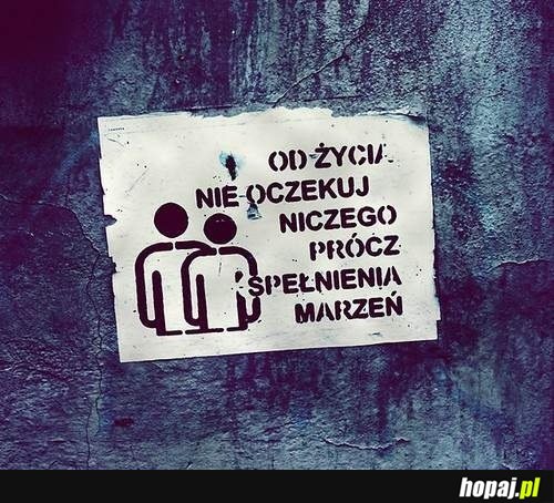 Od życia nie oczekuj niczego