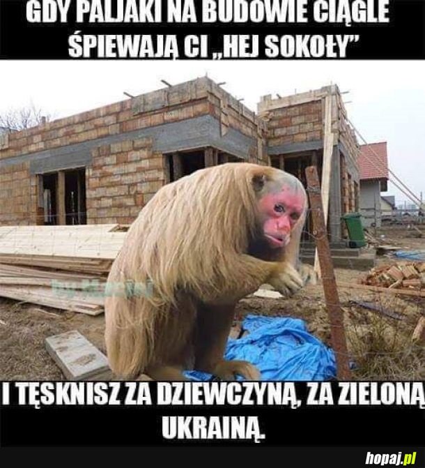 Smuteczek bardzo