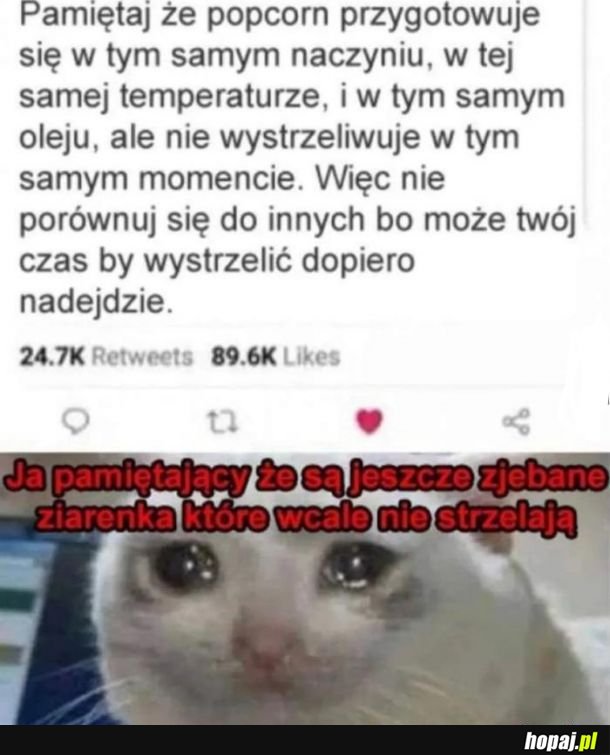Popcorn