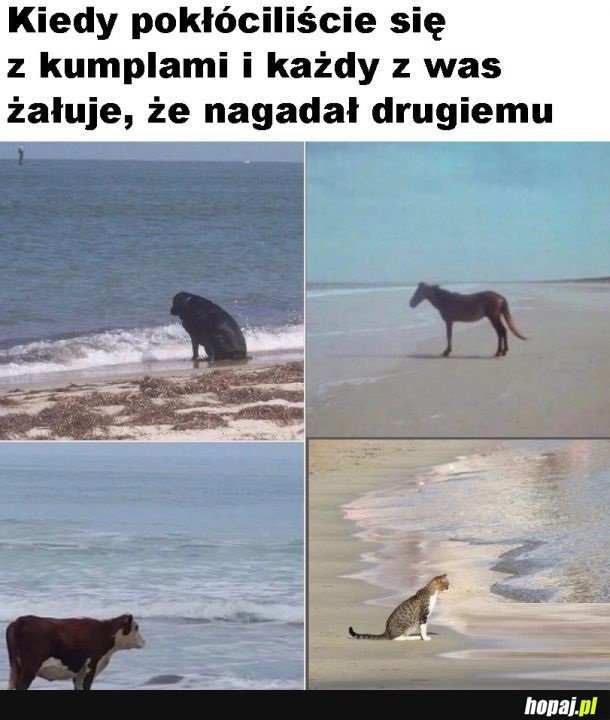 Smutek
