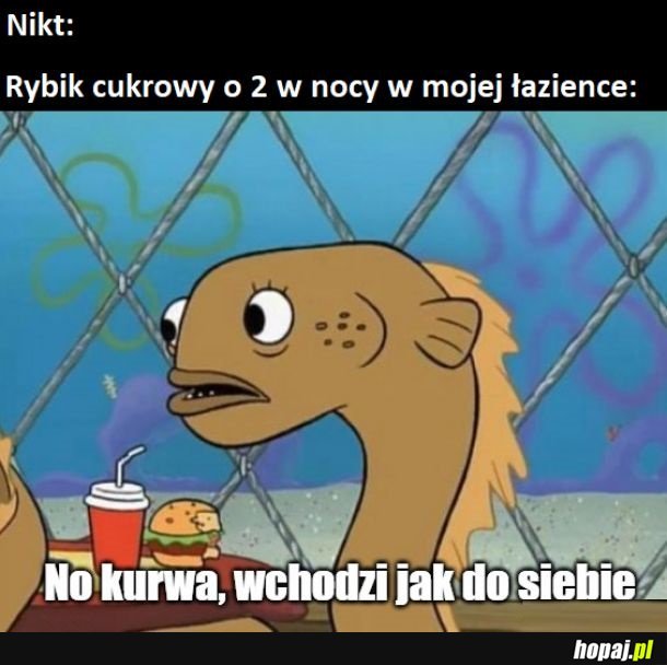 Nieproszony gość