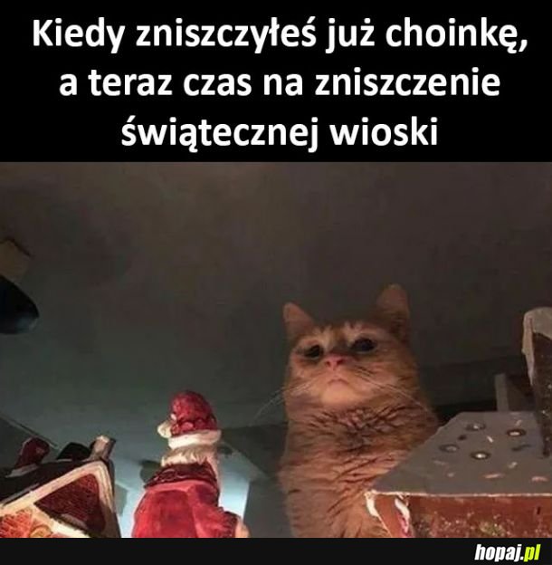 Świątecznie