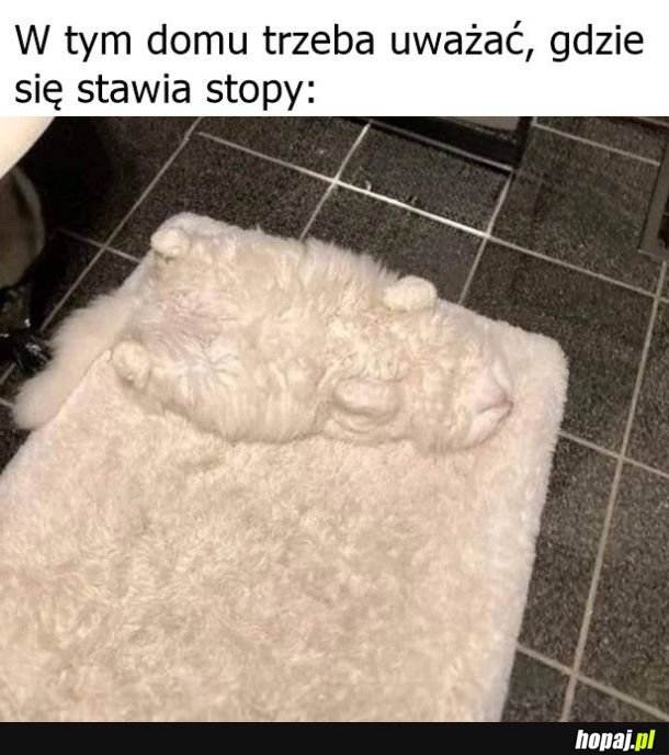 Kamuflaż