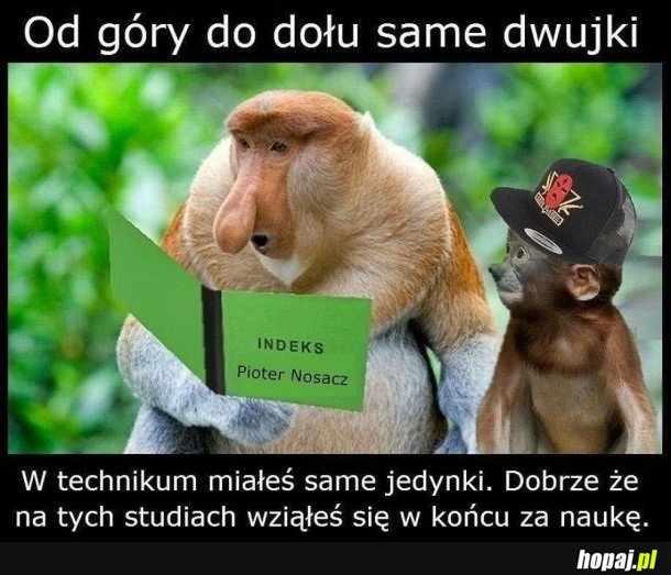 NARESZCIE SYNEK