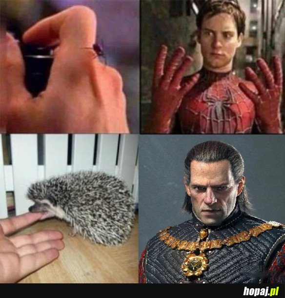 TRANSFORMACJA