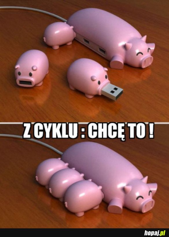 Świńskie pendrivy